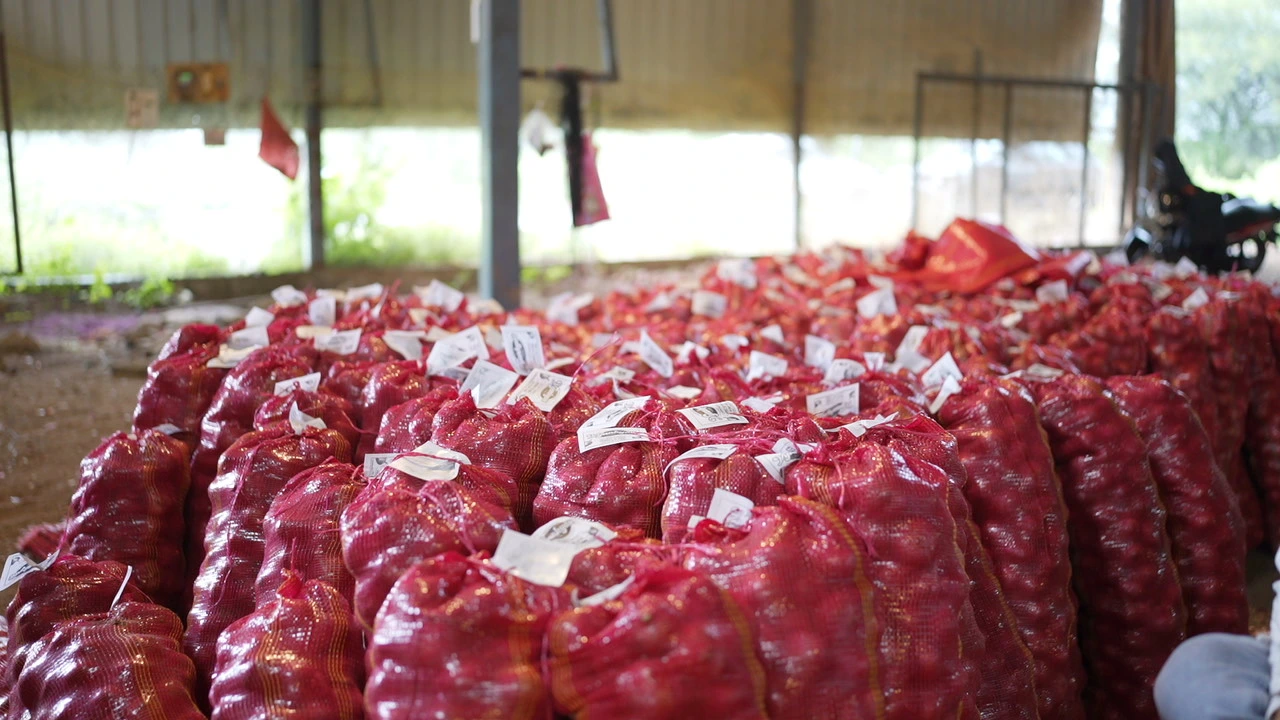 Packaging & Cold Storage — image 1